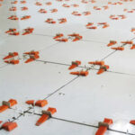 همتراز ال اس اف